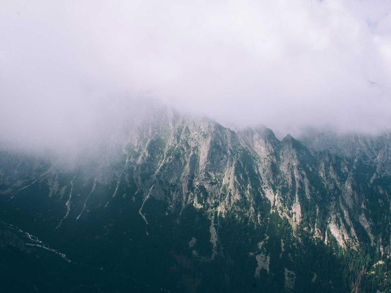 风控哨兵<br>群组风控与反诈骗巡逻